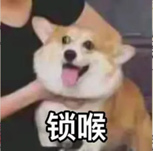 😝 Стикер «TG效果最强电话短信轰炸» для Telegram