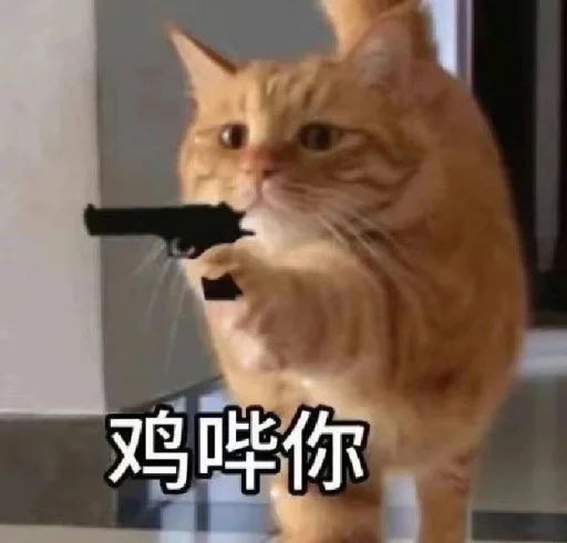 😡 Стикер «TG效果最强电话短信轰炸» для Telegram