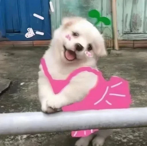 😚 Стикер «TG效果最强电话短信轰炸» для Telegram