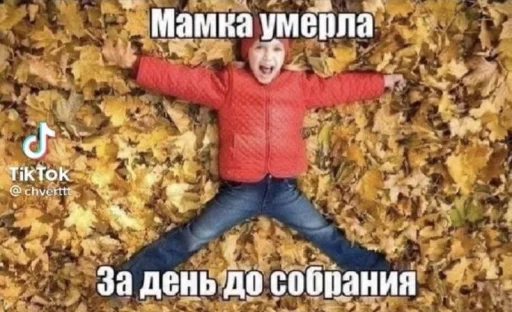 🤩 Стикер «Чозапомои» для Telegram