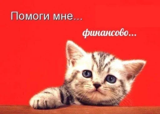 🤑 Стикер «Чозапомои» для Telegram