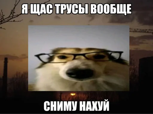 😋 Стикер «Чозапомои» для Telegram