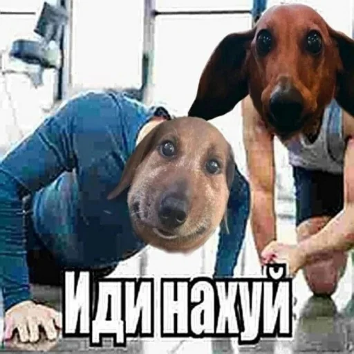 🤩 Стикер «Чозапомои» для Telegram