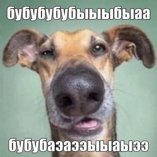 😃 Стикер «Чозапомои» для Telegram