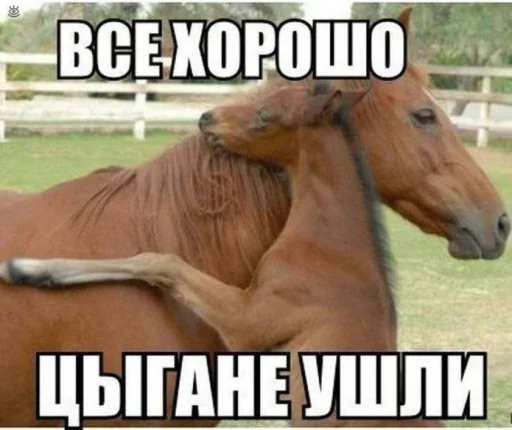 😰 Стикер «Чозапомои» для Telegram