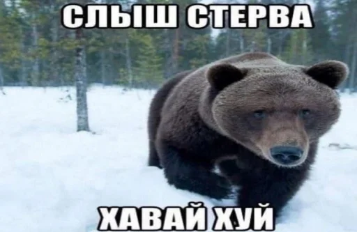 😡 Стикер «Чозапомои» для Telegram