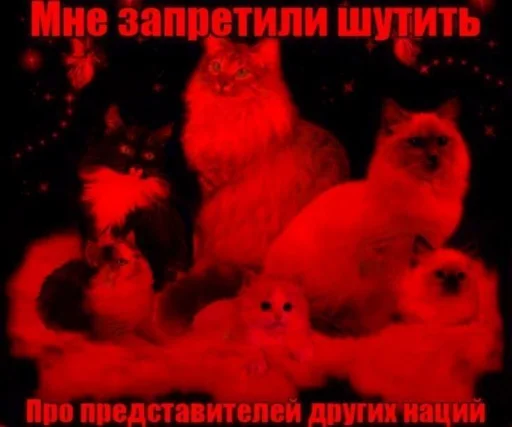 😰 Стикер «Чозапомои» для Telegram