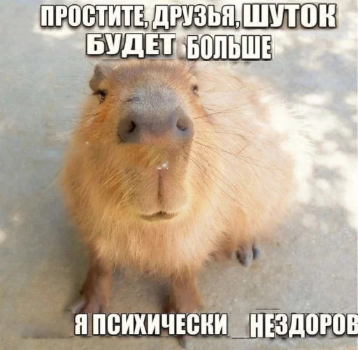 🥰 Стикер «Чозапомои» для Telegram