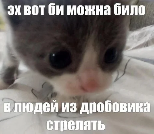 🤩 Стикер «Чозапомои» для Telegram