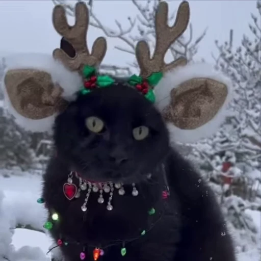 🦌 Стикер «Christmas» для Telegram