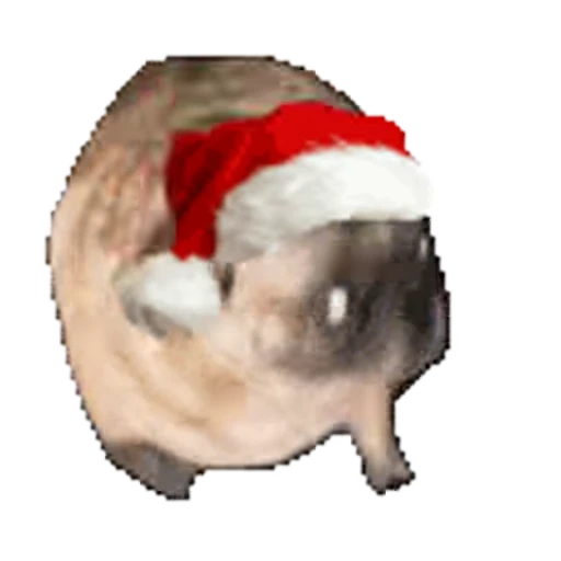 🎅 Стикер «Christmas» для Telegram