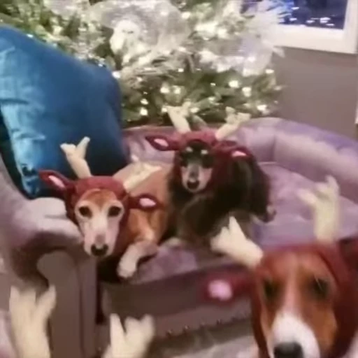 🦌 Стикер «Christmas» для Telegram