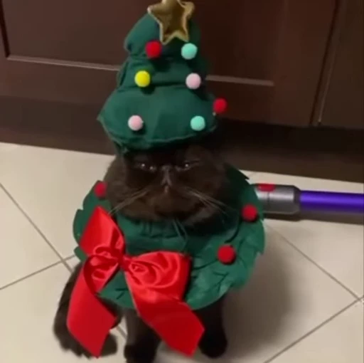🎄 Стикер «Christmas» для Telegram