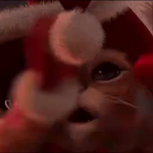 🎅 Стикер «Christmas» для Telegram