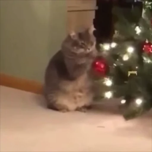 🎄 Стикер «Christmas» для Telegram