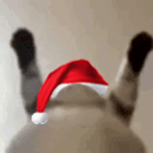 🎅 Стикер «Christmas» для Telegram