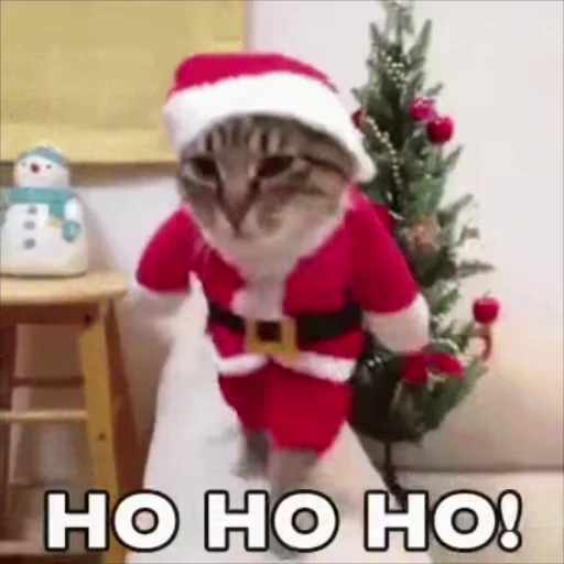 🎅 Стикер «Christmas» для Telegram