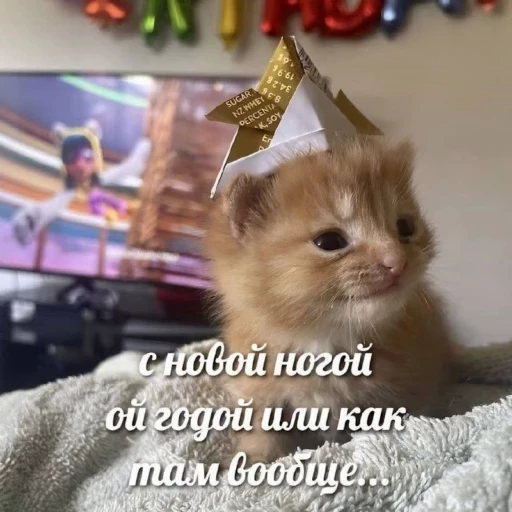 🎅 Стикер «Christmas» для Telegram