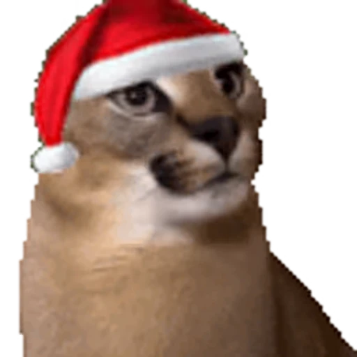 🎅 Стикер «Christmas» для Telegram