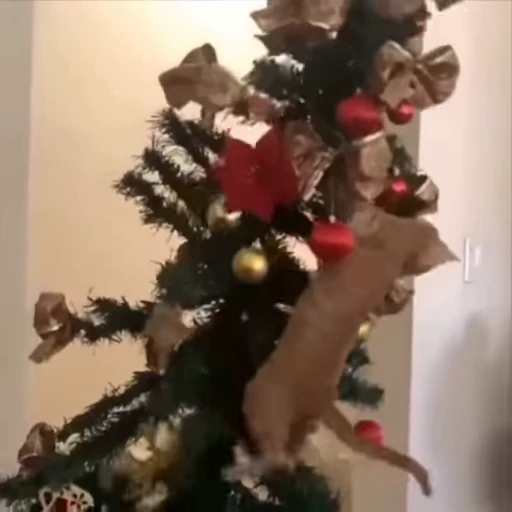 🎄 Стикер «Christmas» для Telegram