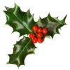 Стикер 35 Christmas vibe