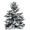 🌲 Эмодзи «Christmas Vibe» для Telegram