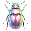 Стикер 36 Chromi2