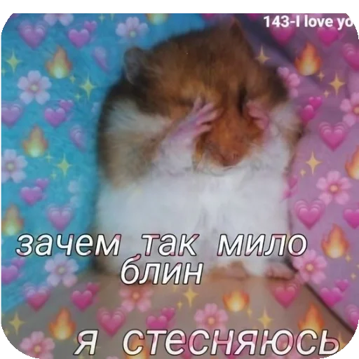 🐱 Стикер «Чсв» для Telegram