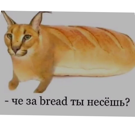 🐱 Стикер «Чсв» для Telegram