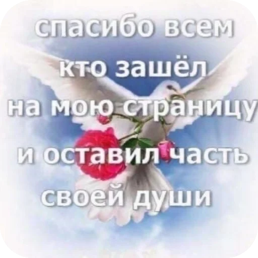 Стикерпак Чсв для Telegram