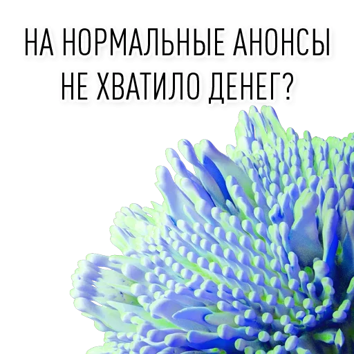 😐 Стикер «Usernames?» для Telegram