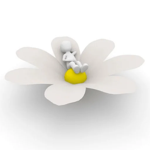 🌷 Стикер «3d челики» для Telegram