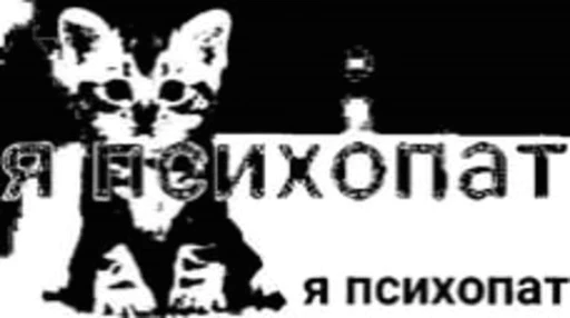 😹 Стикер «Cidavin&;s pack 2» для Telegram