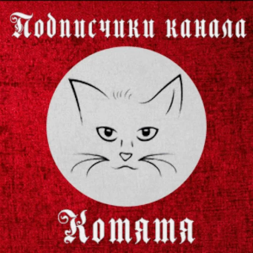 😺 Стикер «Cidavin&;s pack 2» для Telegram