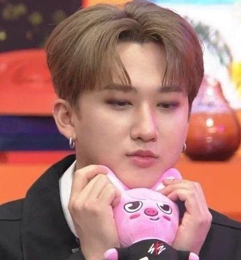 🐽 Стикер «chang binnie» для Telegram