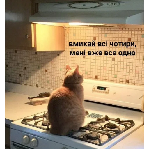 💀 Стикер «юкрейн мєм» для Telegram