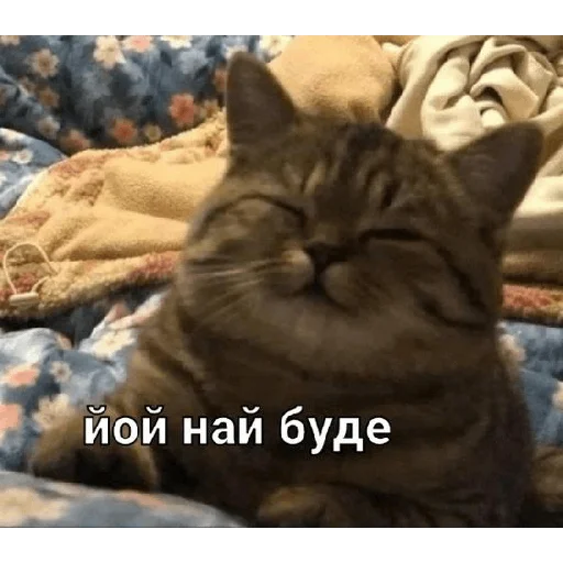 🙂 Стикер «юкрейн мєм» для Telegram