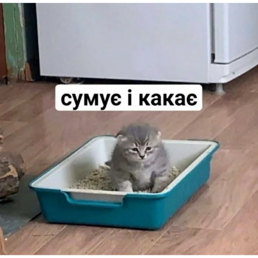 🥲 Стикер «юкрейн мєм» для Telegram
