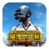🎮 Эмодзи «PUBGM» для Telegram