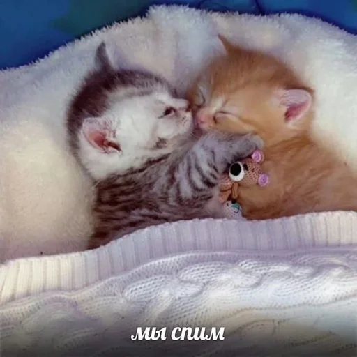 😴 Стикер «Намёки для тебя» для Telegram