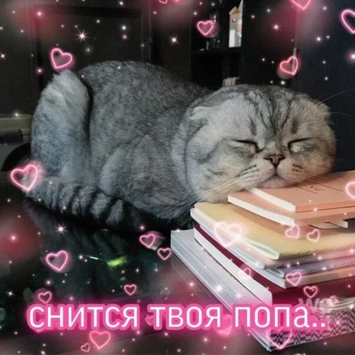 😴 Стикер «Намёки для тебя» для Telegram