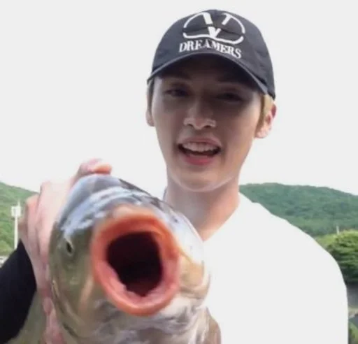 🐟 Стикер «stray kids memes» для Telegram