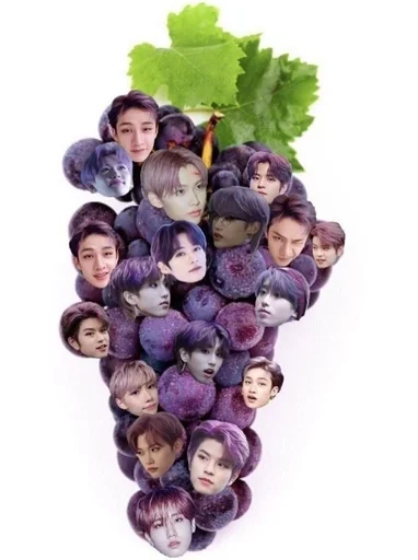 🍇 Стикер «stray kids memes» для Telegram