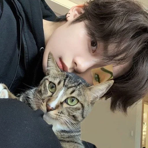 🤨 Стикер «stray kids memes» для Telegram