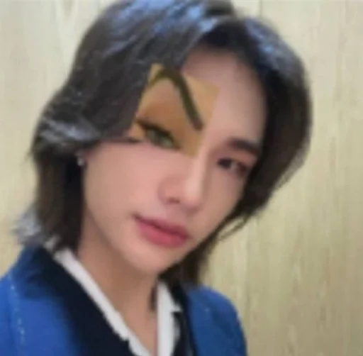 🤨 Стикер «stray kids memes» для Telegram