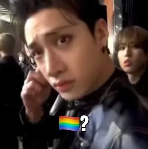🤨 Стикер «stray kids memes» для Telegram