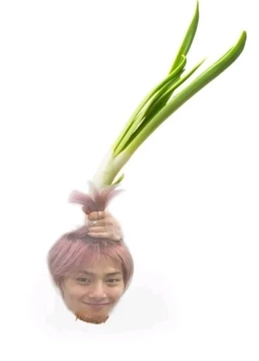 🧅 Стикер «stray kids memes» для Telegram