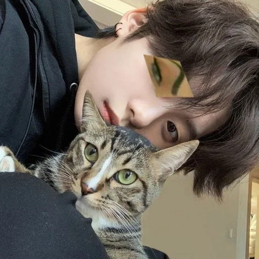 🤨 Стикер «stray kids memes» для Telegram
