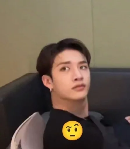 🤨 Стикер «stray kids memes» для Telegram