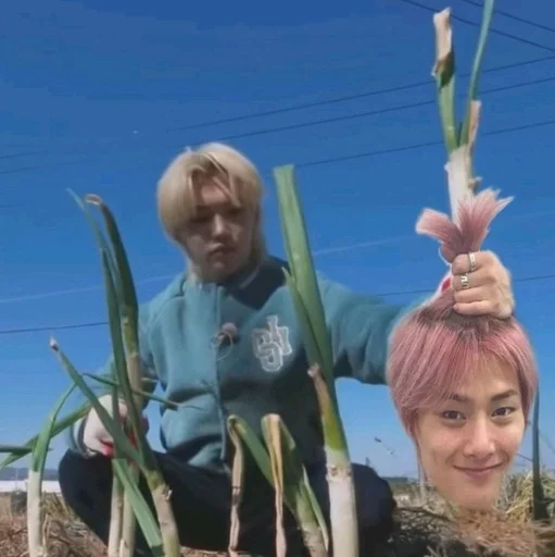 🧅 Стикер «stray kids memes» для Telegram
